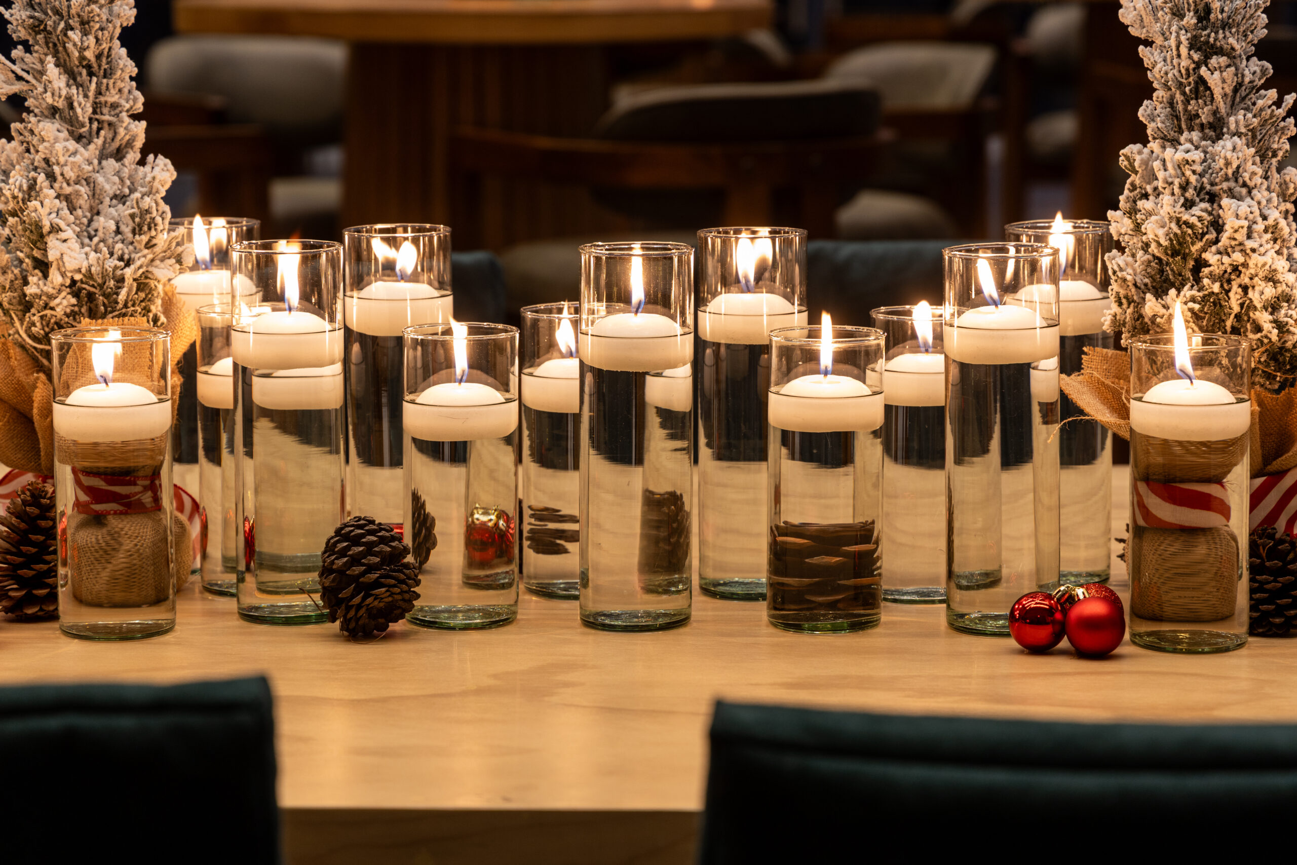 12-12-25-DEIACO-BOSQUE-REAL