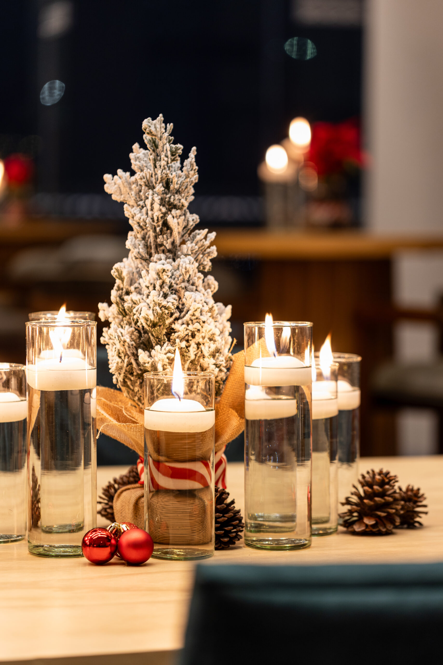 12-12-25-DEIACO-BOSQUE-REAL