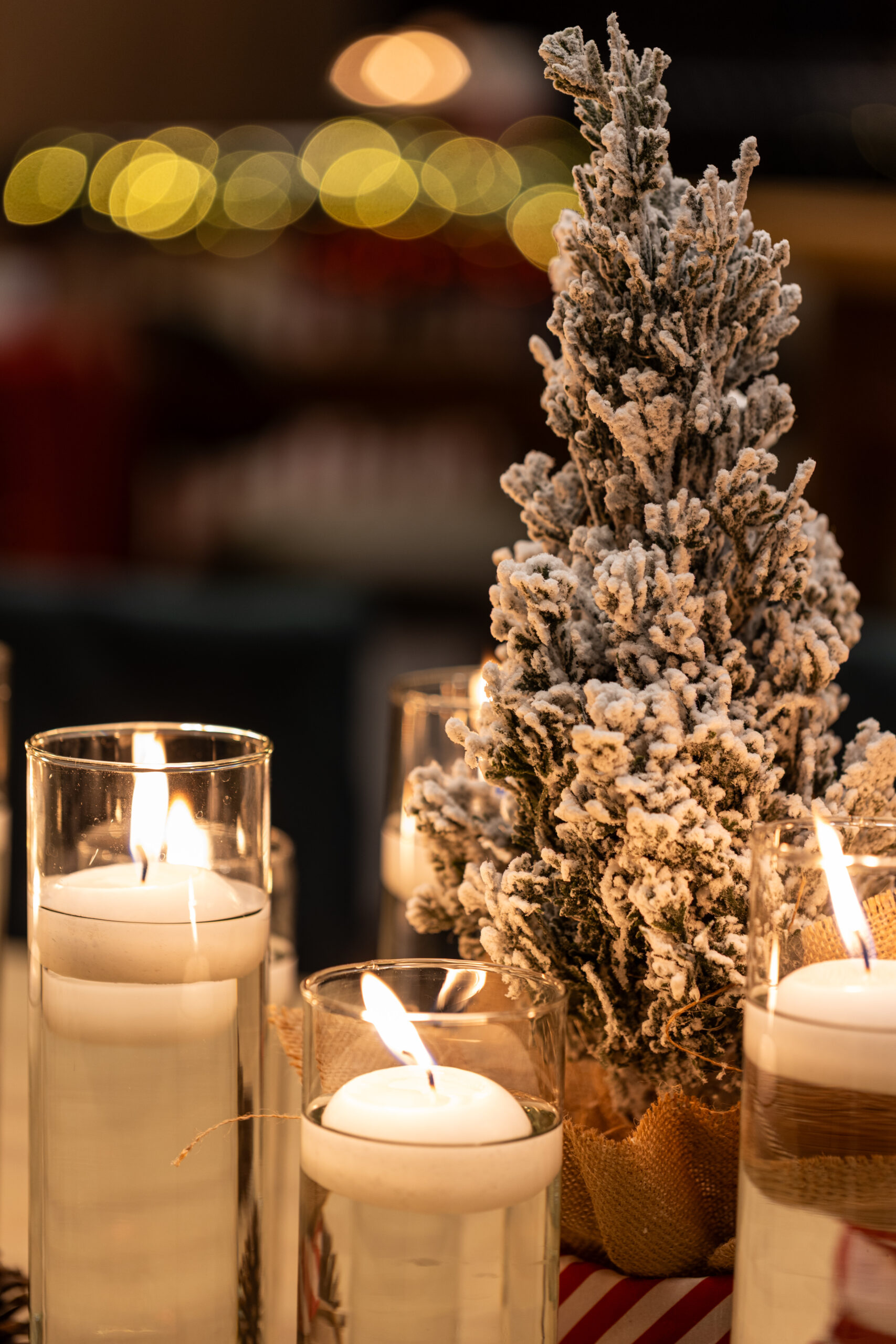 12-12-25-DEIACO-BOSQUE-REAL