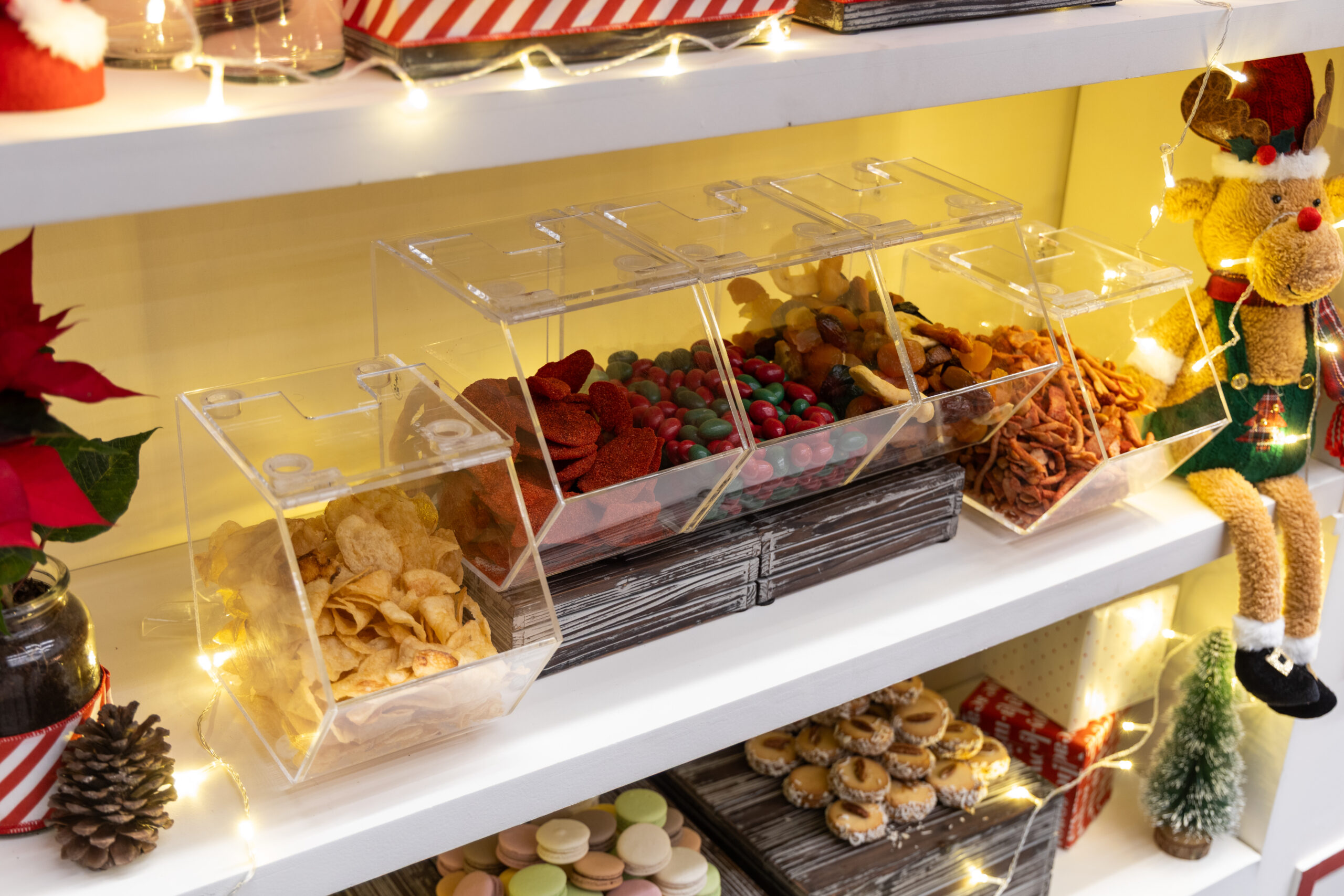 12-12-25-DEIACO-BOSQUE-REAL